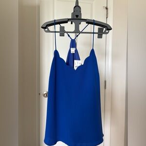 J. Crew Blue Backless Tann Top